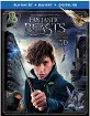 Fantastic Beasts and Where to Find them 3D (Blu-ray 3D + Blu-ray + UV Copy) (US Import ohne dt. Ton) Blu-ray