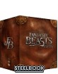 Fantastic Beasts and Where to Find them 4K - Blufans Exclusive Leather Design Box Set Edition Steelbook (CN Import ohne dt. Ton) Blu-ray