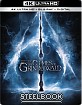 Fantastic Beasts: The Crimes of Grindelwald 4K - Theatrical and Extended Cut - Best Buy Exclusive Steelbook (4K UHD + Blu-ray + Digital Copy) (US Import ohne dt. Ton) Blu-ray