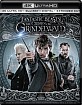Fantastic Beasts: The Crimes of Grindelwald 4K - Theatrical and Extended Cut (4K UHD + Blu-ray + Digital Copy) (US Import ohne dt. Ton) Blu-ray