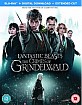 Fantastic Beasts: The Crimes of Grindelwald - Theatrical and Extended Cut (Blu-ray Bonus + Blu-ray + Digital Copy) (UK Import ohne dt. Ton) Blu-ray