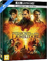fantastic-beasts-the-secrets-of-dumbledore-2022-4k-limited-edition-fullslip-kr-import_klein.jpeg