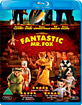 Fantastic Mr. Fox (Blu-ray + DVD) (DK Import ohne dt. Ton) Blu-ray