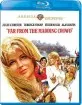 Far from the Madding Crowd (1967) - Warner Archive Collection (US Import ohne dt. Ton) Blu-ray
