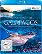 Faszination Insel: Galapagos - Paradies der Riesenschildkröten Blu-ray