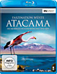 Faszination Wüste: Atacama - Die skurrilste Wüstenlandschaft der Erde Blu-ray