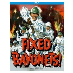 fixed-bayonets-us.webp