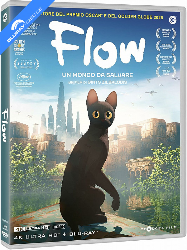 flow-2024-4k-it-import.webp