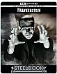 Frankenstein (1931) 4K - Zavvi Exclusive 90th Anniversary Limited Edition Steelbook (4K UHD + Blu-ray) (UK Import) Blu-ray