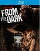 From the Dark (2014) (Region A - US Import ohne dt. Ton) Blu-ray