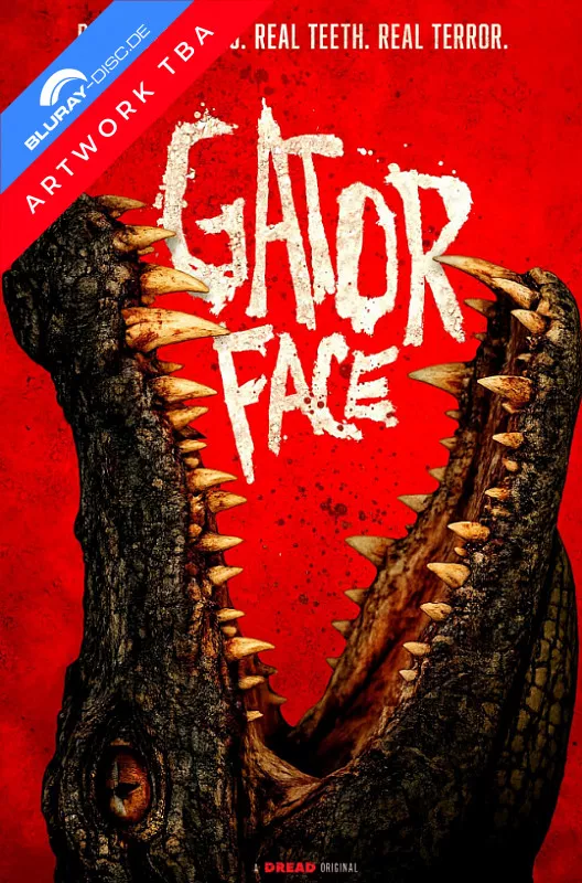 gator-face-vorab.webp