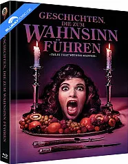 Geschichten, die zum Wahnsinn führen (Limited Mediabook Edition) (Cover A) (Blu-ray + DVD) Blu-ray