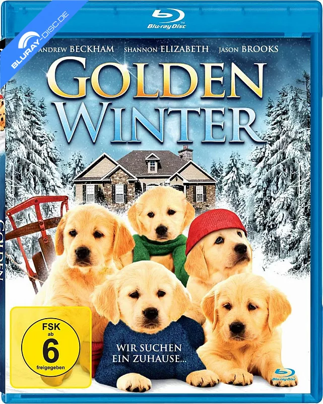 golden-winter---wir-suchen-ein-zuhause...-neuauflage-neu.webp
