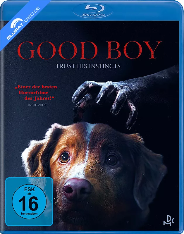 good-boy---trust-his-instincts-de.webp
