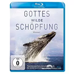 gottes-wilde-schoepfung-wasser-de.webp