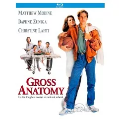 gross-anatomy-1989-us.webp