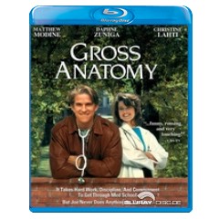 gross-anatomy-us.webp