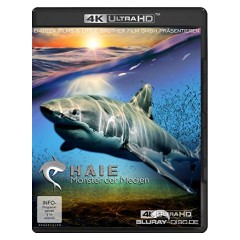 haie---monster-der-medien-4k-4k-uhd-2.jpg haie---monster-der-medien-4k-4k-uhd-2.jpg