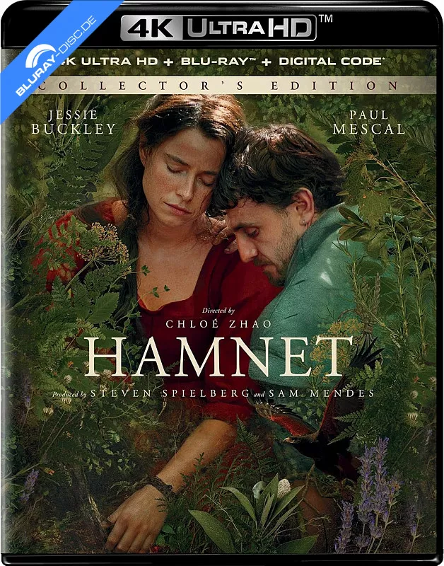hamnet-2025-4k-us-import.webp