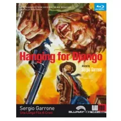hanging-for-django-us.webp