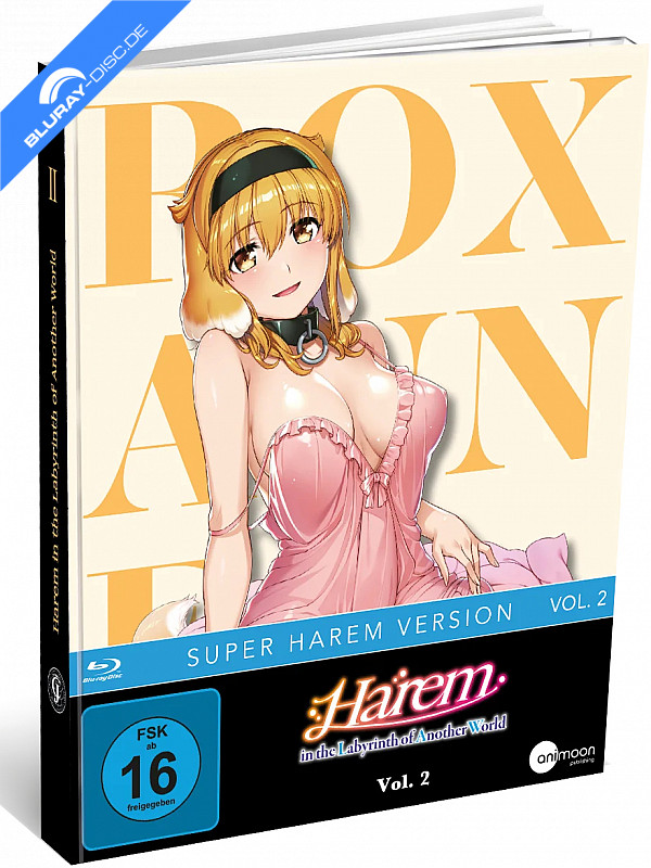 harem-in-the-labyrinth-of-another-world---vol.-2-limited-mediabook-edition-de.webp