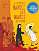 Harold and Maude - Criterion Collection (Region A - US Import ohne dt. Ton) Blu-ray