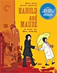 Harold and Maude - Criterion Collection (Region A - US Import ohne dt. Ton) Blu-ray
