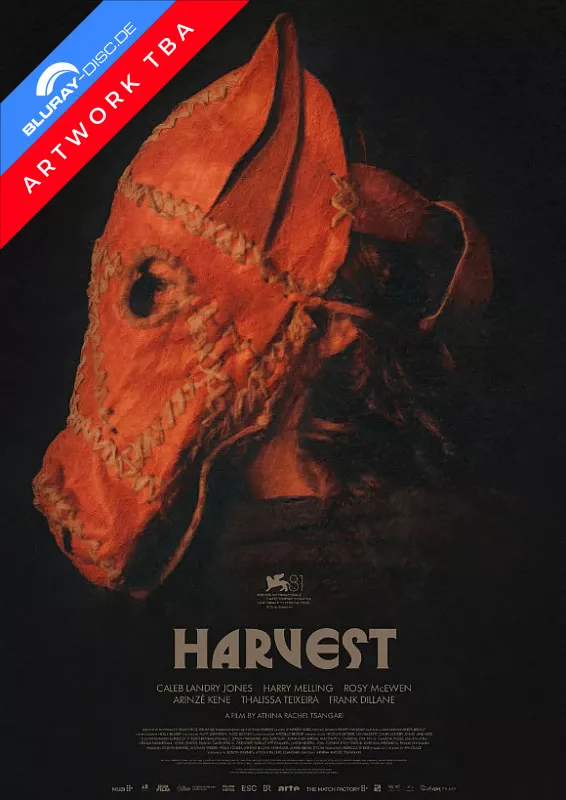 harvest-2024-vorab.webp