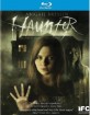 Haunter (2013) (Region A - US Import ohne dt. Ton) Blu-ray