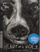 Heart of a Dog - Criterion Collection (Region A - US Import ohne dt. Ton) Blu-ray