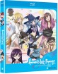 Heaven's Lost Property: Season 2 - Forte (US Import ohne dt. Ton) Blu-ray