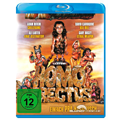 homo-erectus-2007-DE.webp