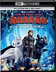 How to Train Your Dragon: The Hidden World 4K (4K UHD + Blu-ray) (UK Import ohne dt. Ton) Blu-ray