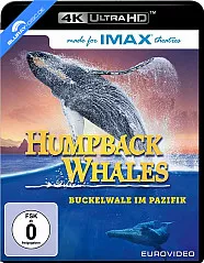 Humpback Whales - Buckelwale im Pazifik 4K (4K UHD) Blu-ray
