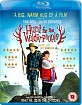 Hunt for the Wilderpeople (UK Import ohne dt. Ton) Blu-ray