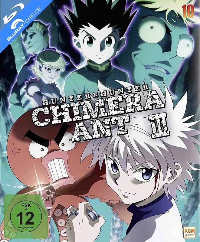 hunter-x-hunter-2011---vol.-10-neu.webp