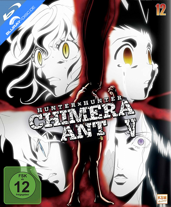 hunter-x-hunter-2011---vol.-12-neu.webp