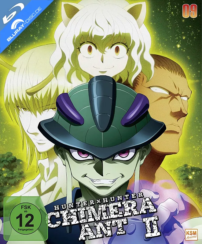 hunter-x-hunter-2011---vol.-9-neu.webp