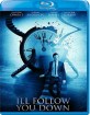 I'll Follow You Down (Region A - US Import ohne dt. Ton) Blu-ray