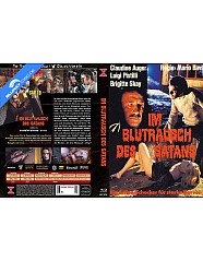 im-blutrausch-des-satans---delirio-di-sangue-limited-x-rated-eurocult-collection-78-cover-c-2-blu-ray_klein.jpg