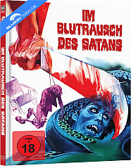 im-blutrausch-des-satans-limited-mediabook-edition-cover-c_klein.jpg