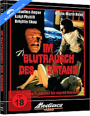 im-blutrausch-des-satans-limited-mediabook-edition-cover-g_klein.jpg
