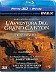 IMAX: L'avventura del Grand Canyon - Fiume a rischio (Blu-ray 3D) (IT Import ohne dt. Ton) Blu-ray