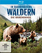 In Skandinaviens Wäldern - Die Bärenbande Blu-ray