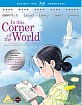 In this Corner of the World (Blu-ray + DVD) (UK Import ohne dt. Ton) Blu-ray