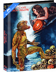 it-came-from-below---tief-unter-der-erde-lauert-es-wattierte-limited-mediabook-edition-cover-a_klein.jpg