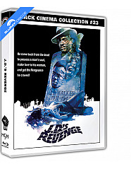 j.d.s-revenge-black-cinema-collection-23-scanavo-edition-blu-ray---dvd_klein.jpg