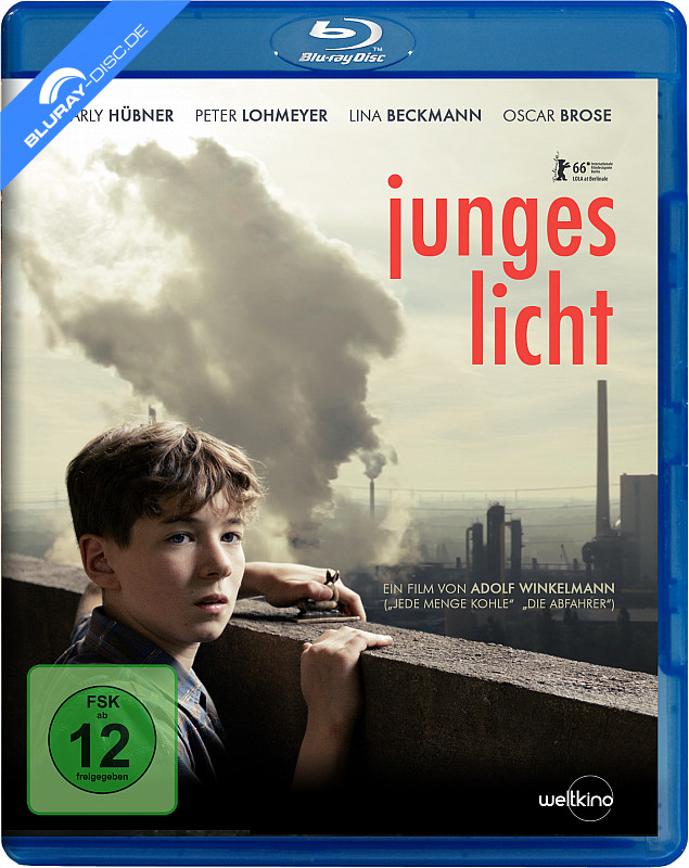 junges-licht-neu.webp