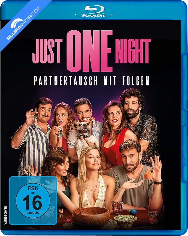 just-one-night---partnertausch-mit-folgen-neu.webp