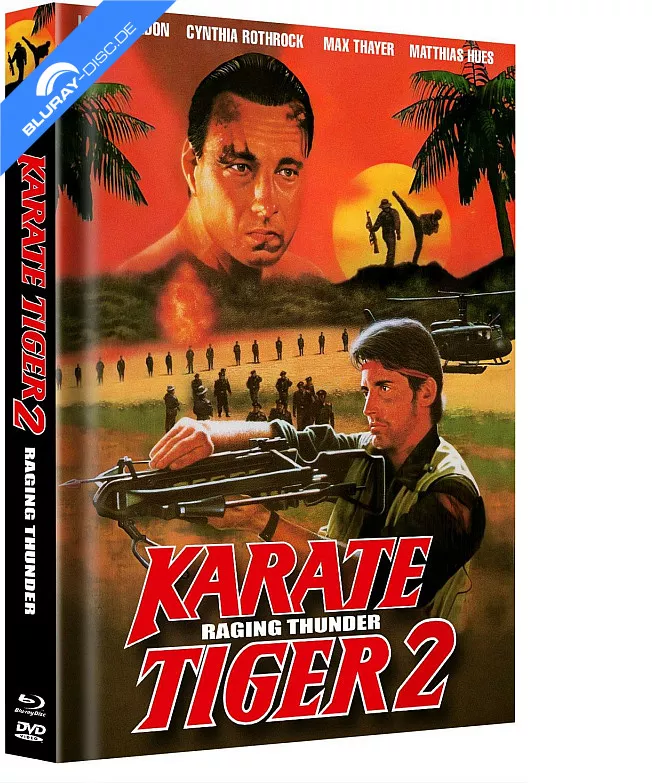 karate-tiger-2---raging-thunder-limited-hartbox-edition-cover-a-1.webp